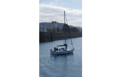 Arrivée de la flotte à Cherbourg 